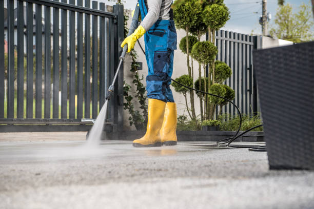 Best Pressure Washing Siding  in Fmington, AR