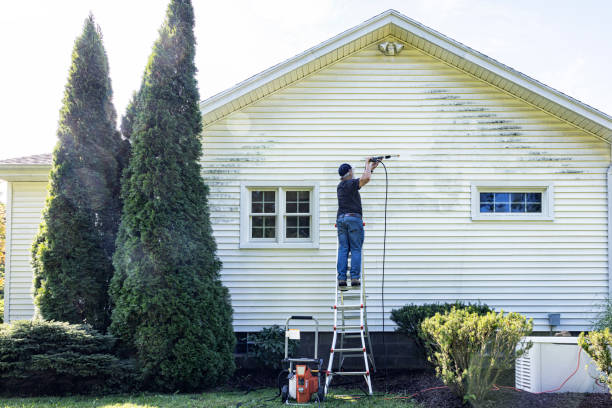 Best Concrete Pressure Washing  in Fmington, AR